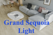 Grand Sequoia Light