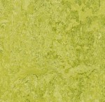  Forbo Real Chartreuse 3224