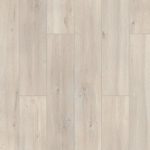 ������� Taiga ������ ��������� 832 ��� �������� 504464001