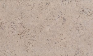 ��������� ��� Corkart Lite CM3 319v CN