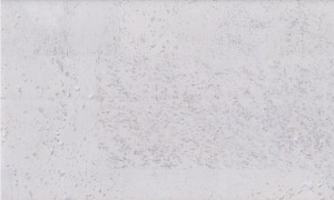 ��������� ��� Corkart Lite CM3 384v WN