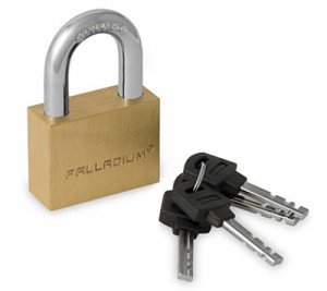 ����� �������� Palladium 302B-50