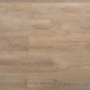 SPC ������� Alta Step Excelente ��� ������ SPC6606