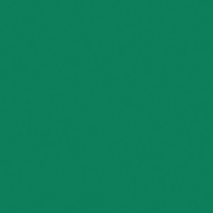 �������� Tarkett Omnisports Action 65 FIELD GREEN 200207001