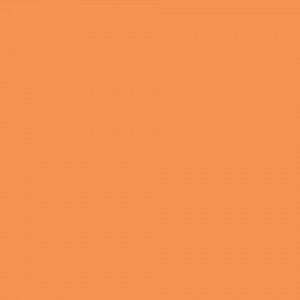 �������� Tarkett Omnisports Action 65 ORANGE 200207009
