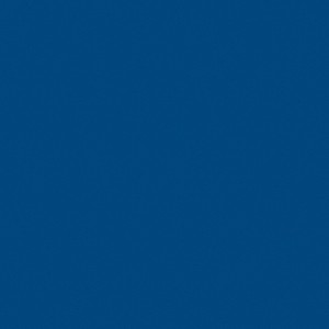 �������� Tarkett Omnisports Action 65 ROYAL BLUE 200207003