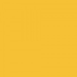 �������� Tarkett Omnisports Action 65 YELLOW 200207010
