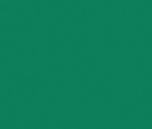 �������� Tarkett Omnisports Action 40 FIELD GREEN 200212001