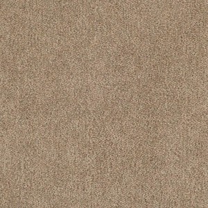 �������� Tarkett ������ ������-���������� 10431