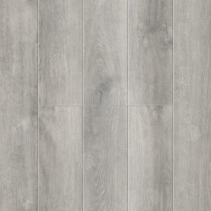 SPC ������� Ensten Hygge ECO 101-05 �������