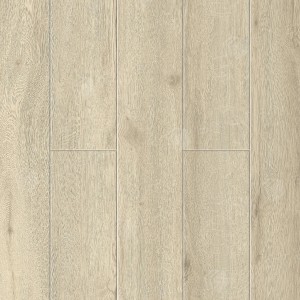 SPC ������� Ensten Hygge ECO 101-09 ������