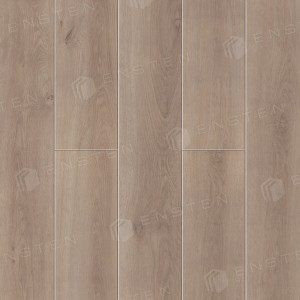 SPC ������� Ensten Hygge ECO 102-12 �������
