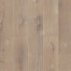 SPC ������� Ensten Hygge ECO 102-20 �������